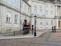 vlcsnap-2019-09-25-19h24m20s653